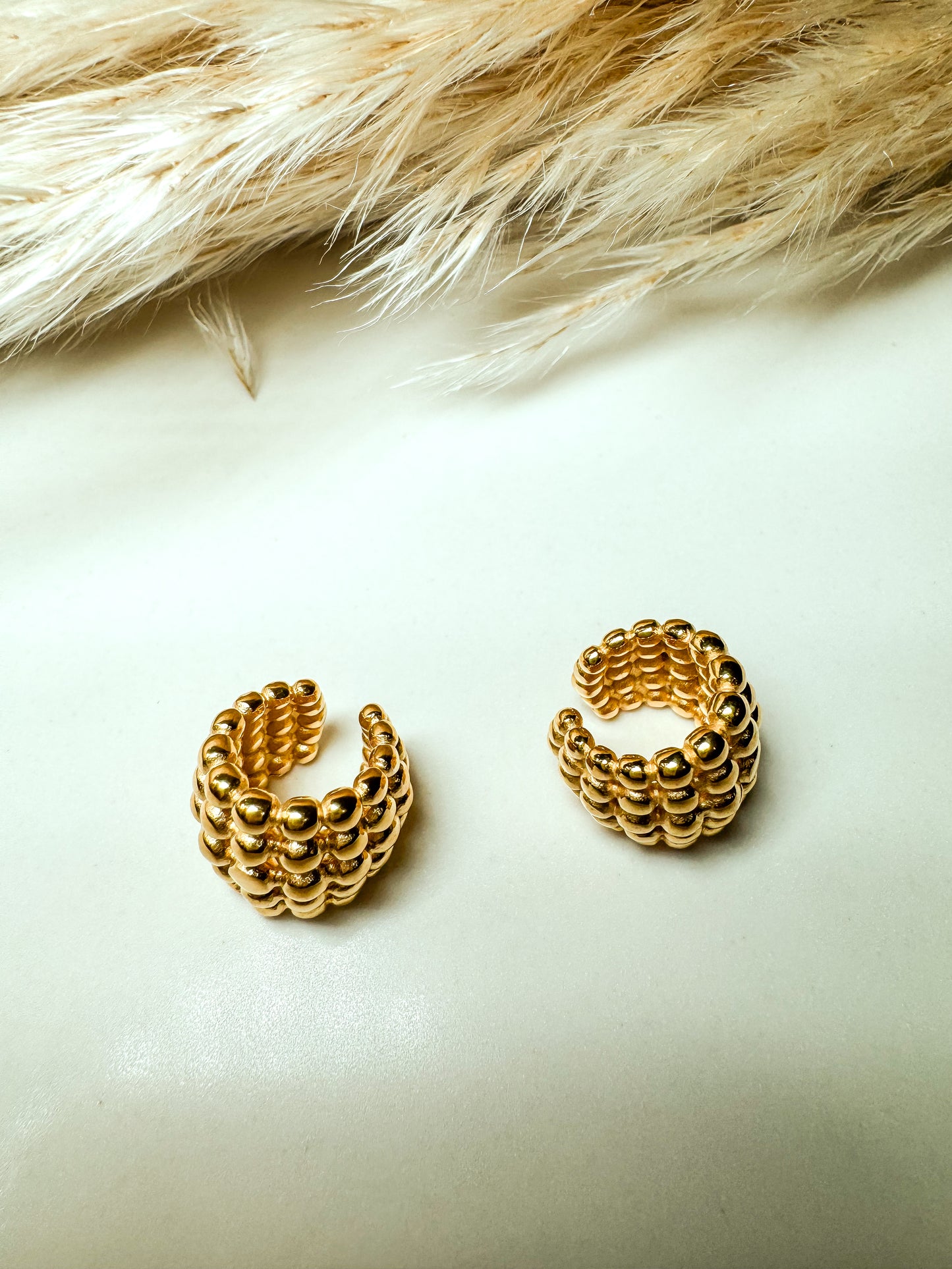 Eli Earcuff